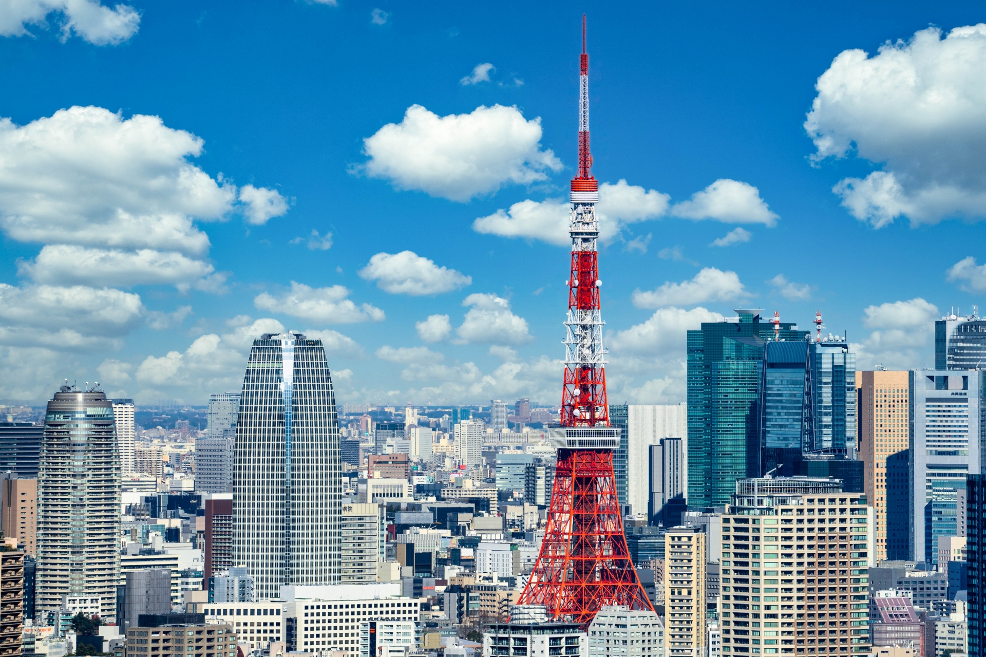 東京タワー　昼