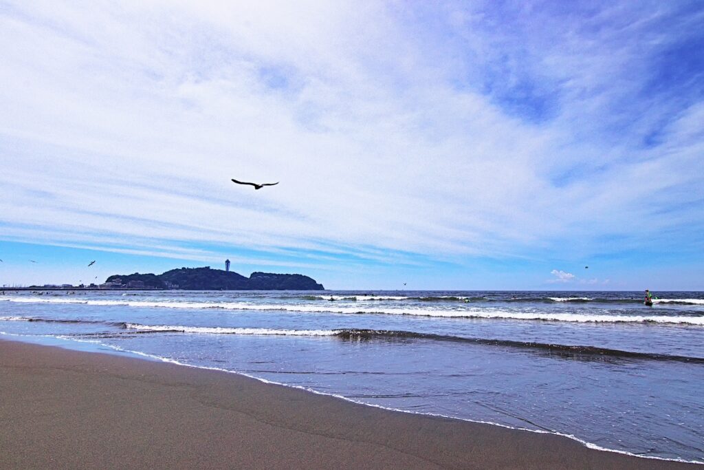 夏の鵠沼海岸