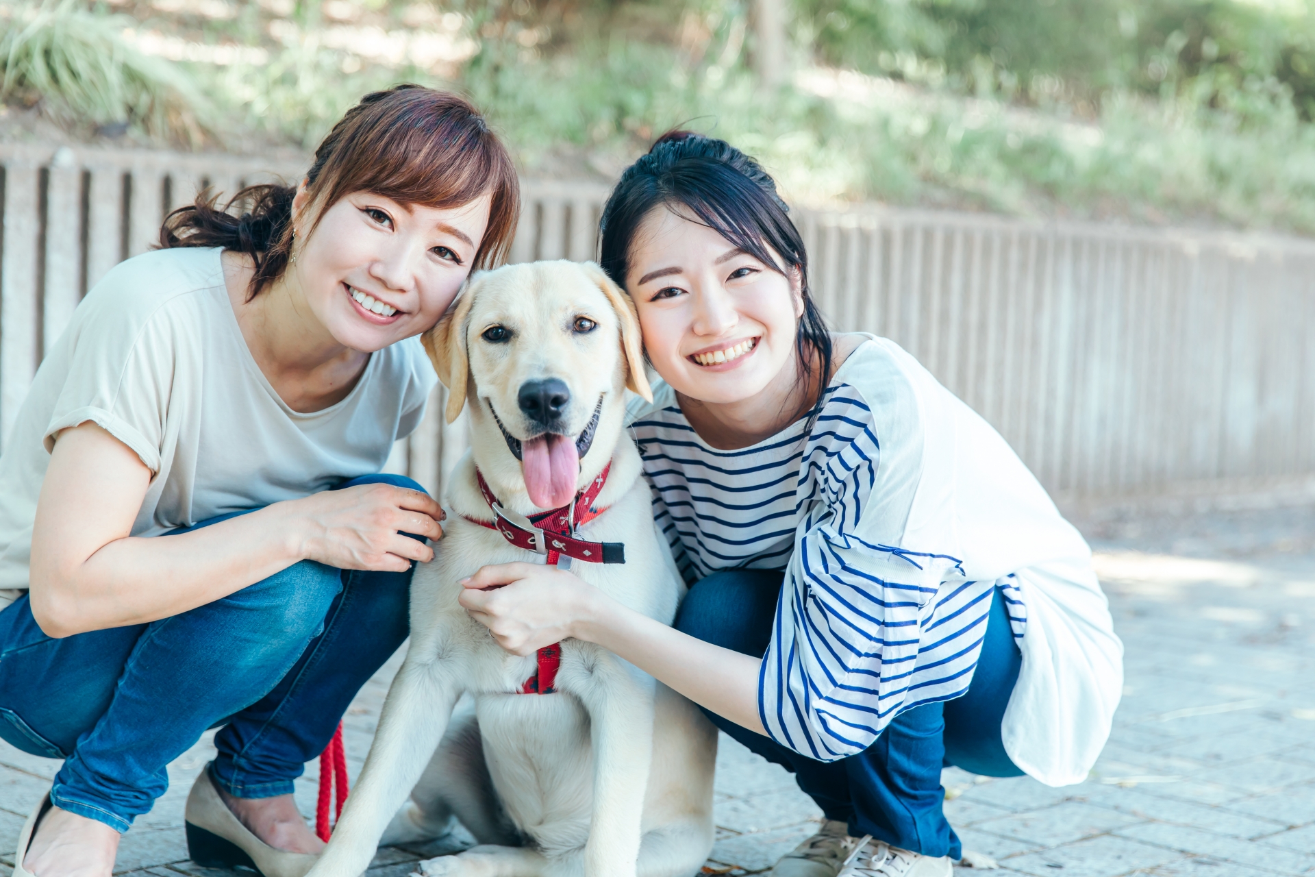犬　女性